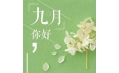 九月，這些新規將影響你的生活！